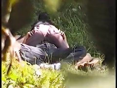 Carmen electra - một trong những lựa chọn