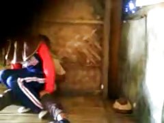 miley cyrus - los angeles 2014 buổi hòa nhạc nổi bật.